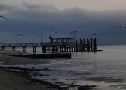 1958083-travel_picture-bribie_island.jpg