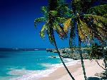 beach110242oo.jpg