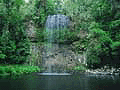 lamingtonfalls.gif