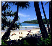 noosa10.jpg